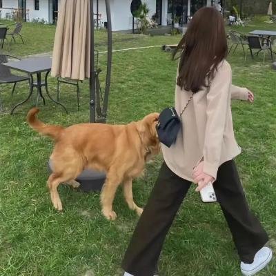 菊花香